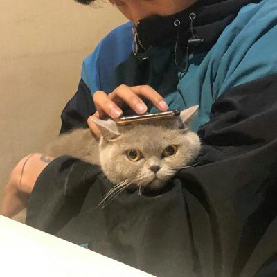 充当着可有可无的位置就没有必要那么执着了(图3)