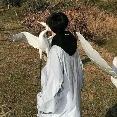 Share｜不被爱的 都是诗人(图9)