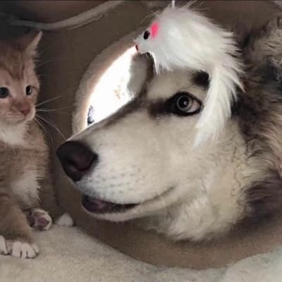 如果能回到以前 我会选择不认识你 不是我后悔 是我不能面对现在的结局(图6)