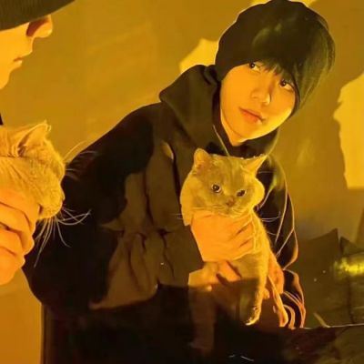 充当着可有可无的位置就没有必要那么执着了(图12)