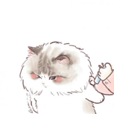 打疫苗的猫咪(图8)