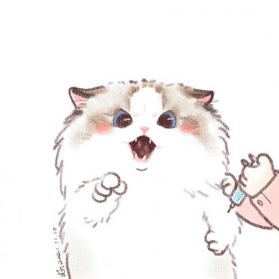 打疫苗的猫咪(图2)