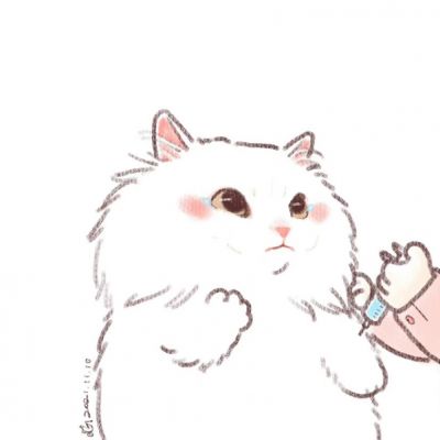 打疫苗的猫咪(图6)