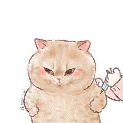 打疫苗的猫咪(图4)