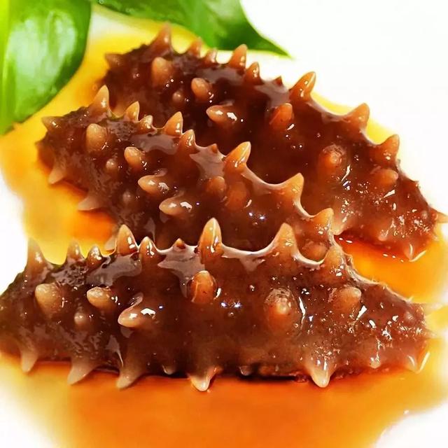 买了海参不知道怎么做？最全面的干海参泡发方法，一看就会了