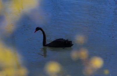 2021基督教复活节祝福语 2021年复活节祝福语(图10) 2021基督教复活节祝福语 2021年复活节祝福语(图10)