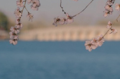 2021基督教复活节祝福语 2021年复活节祝福语(图7) 2021基督教复活节祝福语 2021年复活节祝福语(图7)