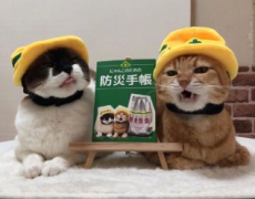 适合微信朋友圈非常经典的做人道理：别人可以自嘲，但你千万不能认同