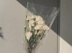 非常浪漫的朋友圈说说：耐心听我讲完废话的人真温柔