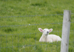 可爱幽默的朋友圈配图：东边日出西方雨，你是我的大美女！
