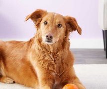 充满阳光活力的朋友圈句子:远离烦心事，靠近大好人！