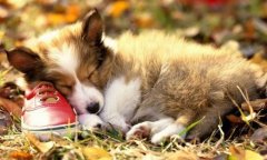 朋友圈描述自己空虚寂寞心情的句子