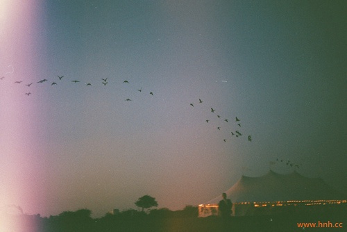 琴声转离灵魂 夜深人静花落满地