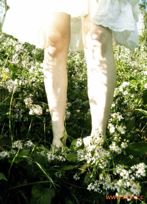 琴声转离灵魂 夜深人静花落满地