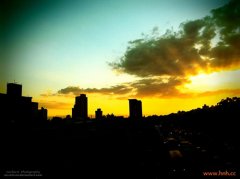 琴声转离灵魂 夜深人静花落满地