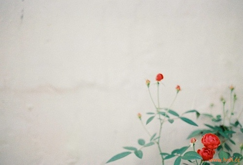 时间总是把最好的留到最后 时间总是把最好的留到最后