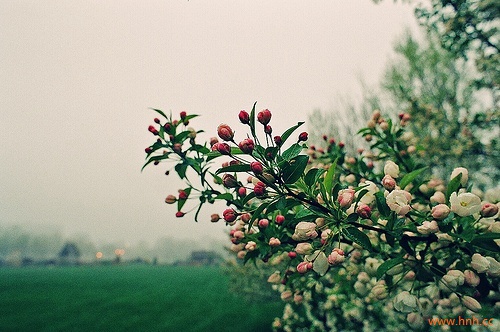 让我们一起前进 不要回头 假装我们从未爱过 让我们一起前进 不要回头 假装我们从未爱过