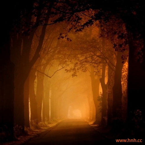 拿出勇气支撑身体 拿出品格站稳 拿出勇气支撑身体 拿出品格站稳