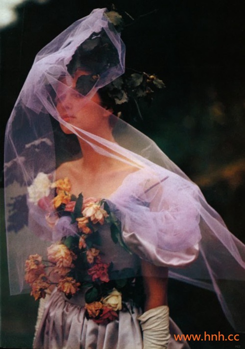 我向往你却没有希望 我向往你却没有希望