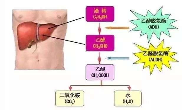 说说阿里员工“灌酒性侵”的事情(图24)