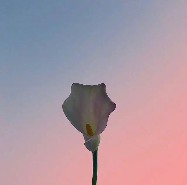 早安心语简单的心态说说,阳光向上,值得分享!(图2) 图片