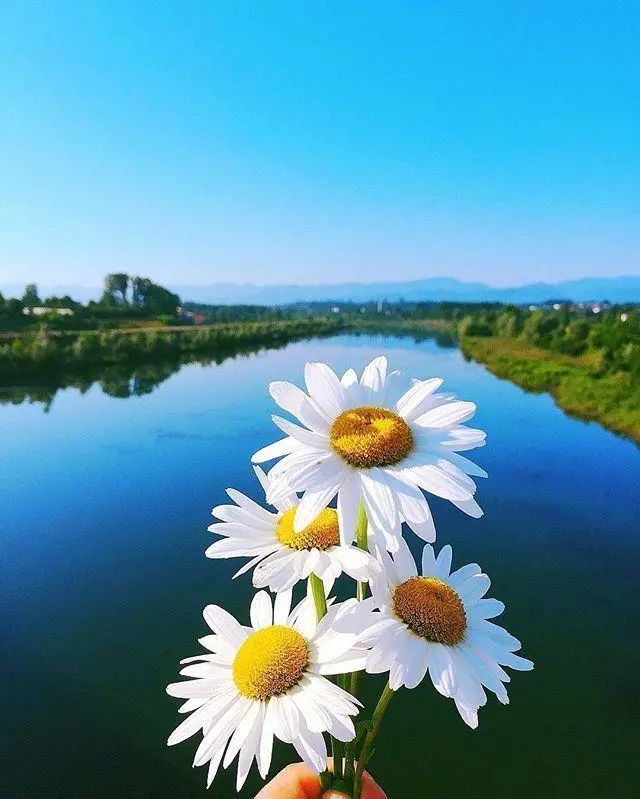 早安心语正能量心情说说语录,致不甘平庸的自己!(图3) 图片