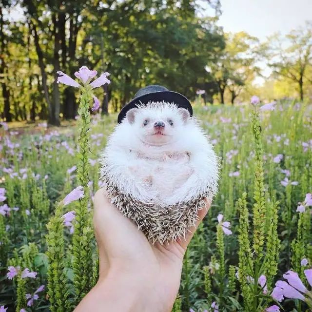 说到心坎上的人生感悟,每日一读,豁达一生!(图4) 图片