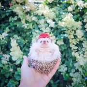 说到心坎上的人生感悟，每日一读，豁达一生！