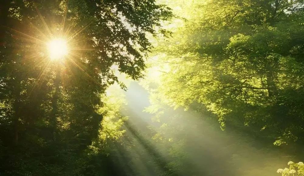 描写清晨、黄昏 、月色和星空的好词好句好段(图1) 图片