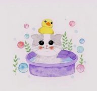 自己一个人孤独的说说，句句心酸无奈！