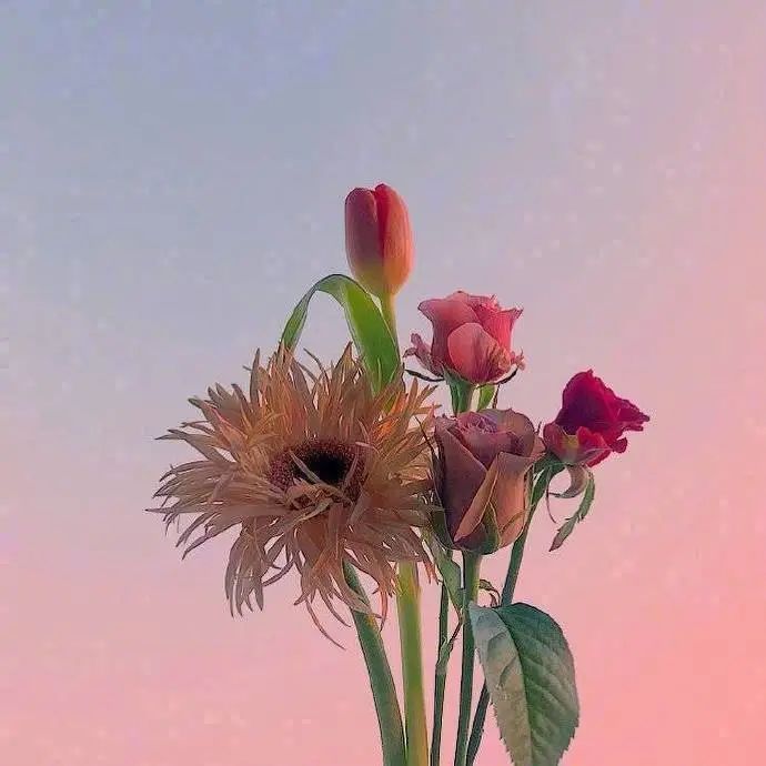 很有格调的人生感悟说说，发朋友圈引人深思！(图5)