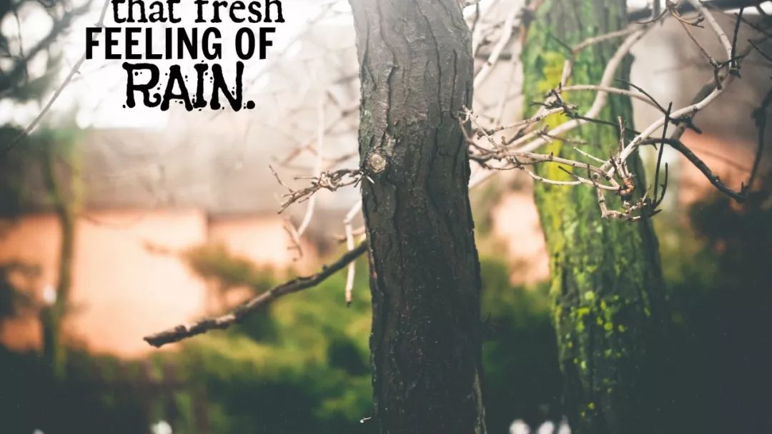 早安发朋友圈最走心的人生哲理说说,句句说到心窝里(图8) 早安发朋友圈最走心的人生哲理说说,句句说到心窝里(图8)