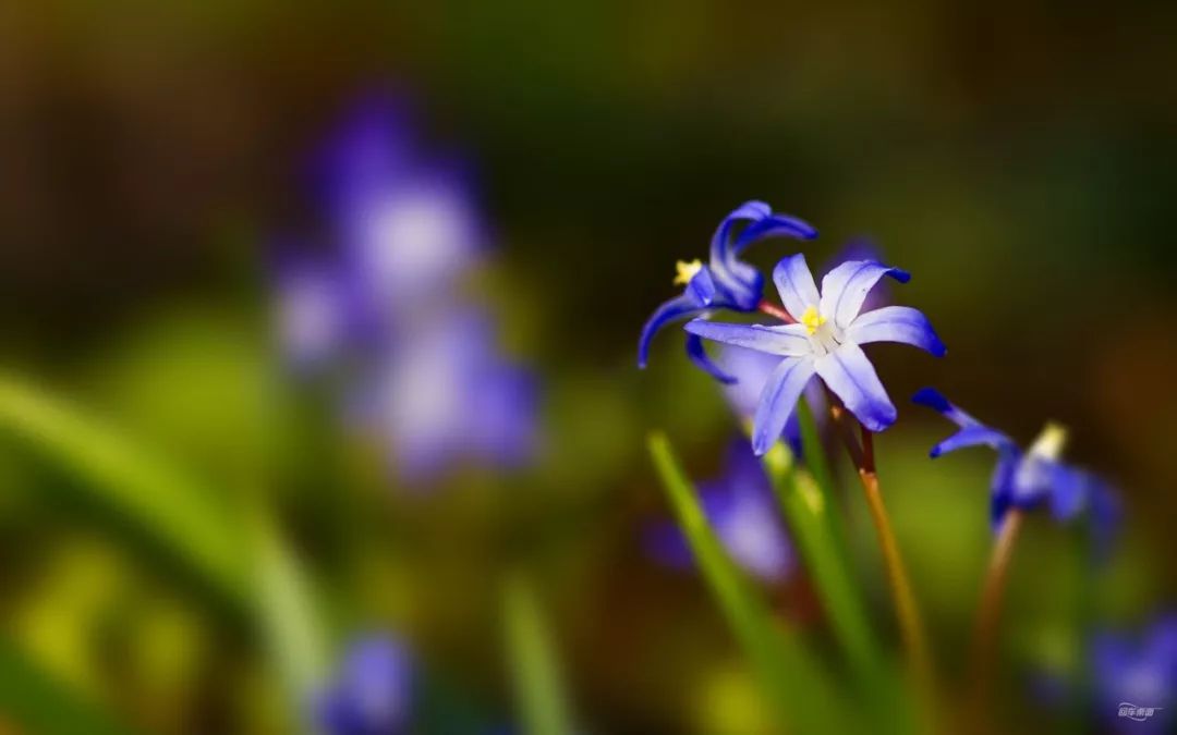 早安发朋友圈最走心的人生哲理说说,句句说到心窝里(图10) 早安发朋友圈最走心的人生哲理说说,句句说到心窝里(图10)