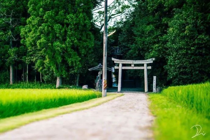 致自己的人生哲理说说,经典至极,引人共鸣!(图4) 致自己的人生哲理说说,经典至极,引人共鸣!(图4)