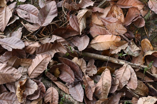 25个魅力无比的说说，经典至极，一句顶十句