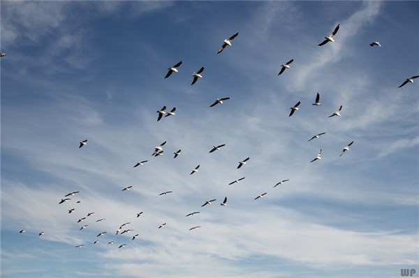 25个魅力无比的说说，经典至极，一句顶十句