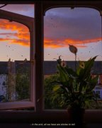 一些无关爱情又很惊艳的高级文案”