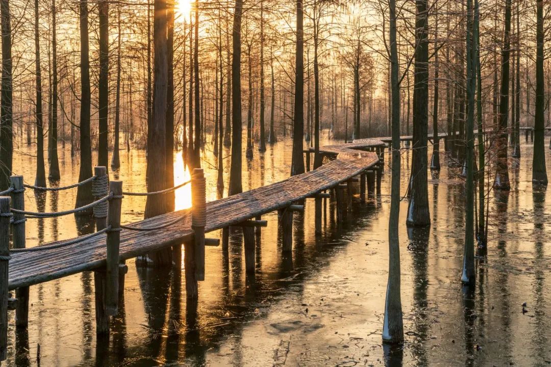 最适合发微信心情的诗句，挑一句发朋友圈吧