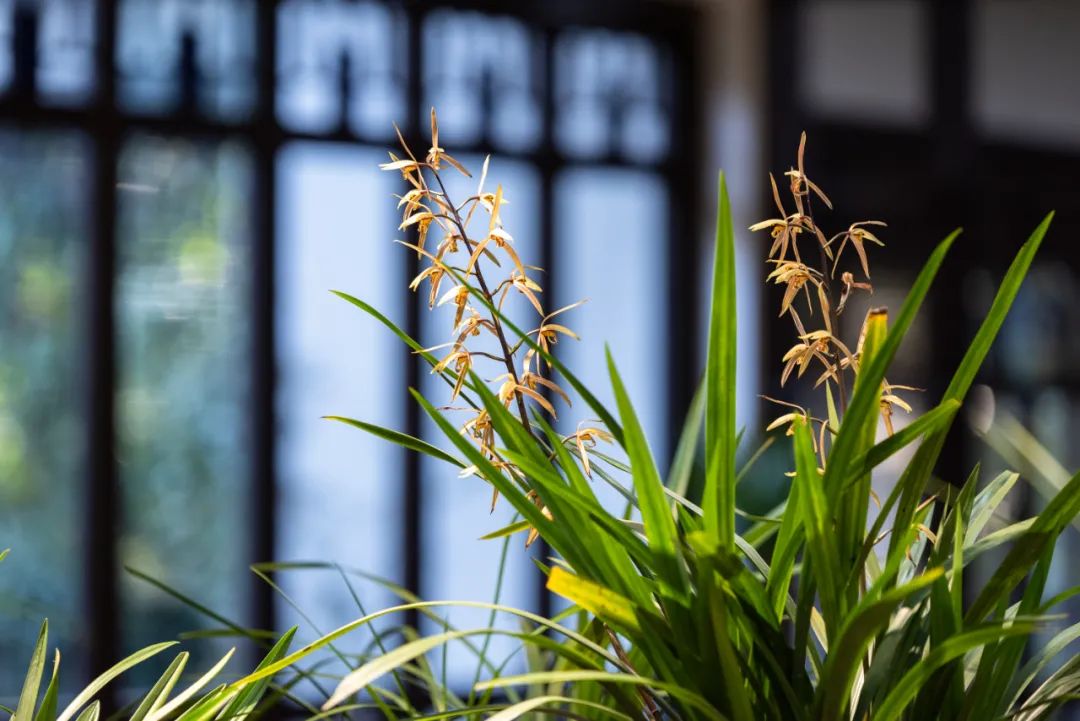 最适合发微信心情的诗句，挑一句发朋友圈吧