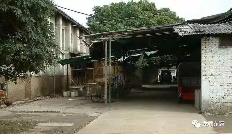 栀子花香里的青葱岁月(图3) 图片