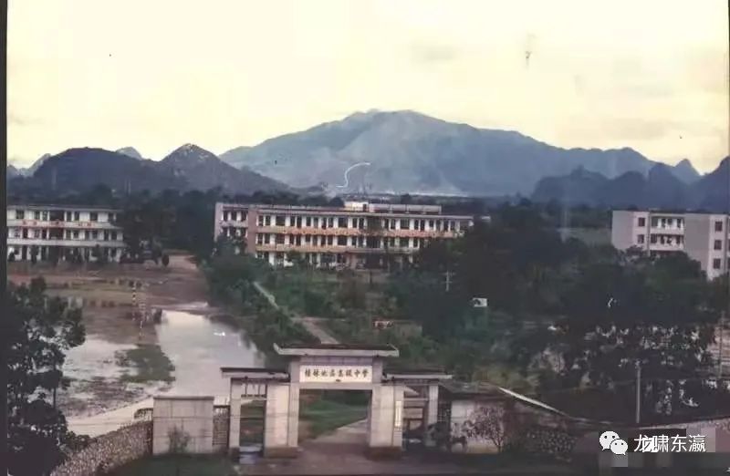 栀子花香里的青葱岁月(图2) 图片