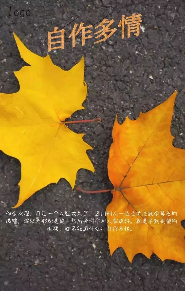 适合发朋友圈的12句个性心情签名,我喜欢第3句,你呢?(图2) 图片