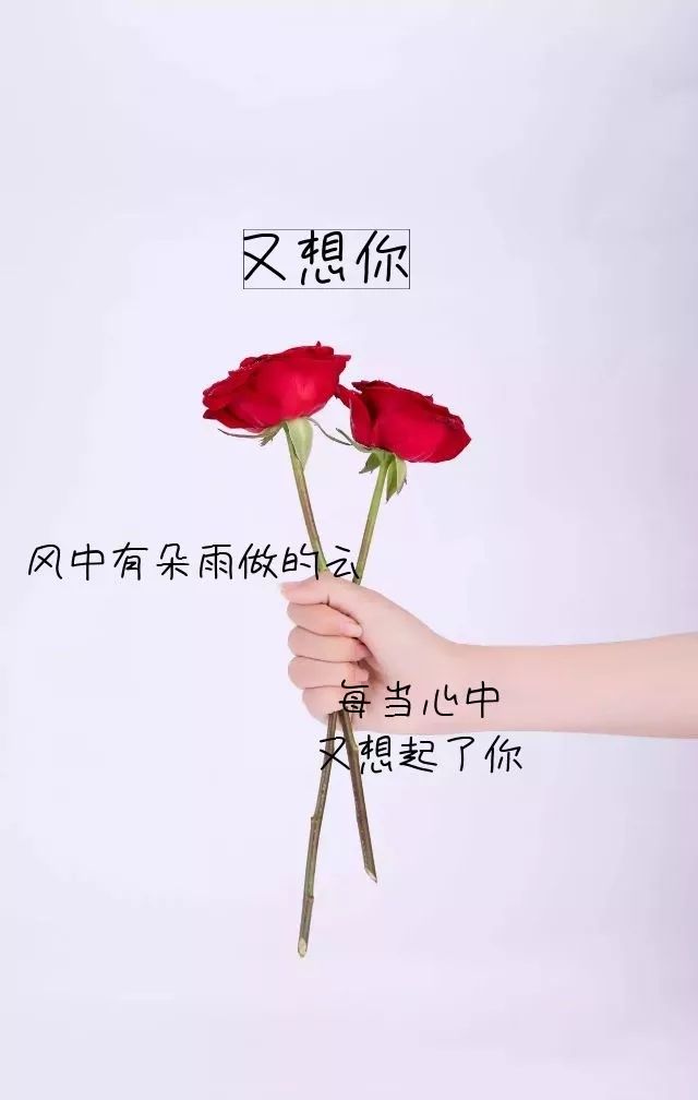 适合发朋友圈的12句个性心情签名,我喜欢第3句,你呢?(图4) 图片