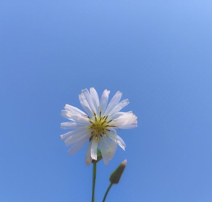 征服人心的哲理说说,句句经典,引人共鸣(图1) 征服人心的哲理说说,句句经典,引人共鸣