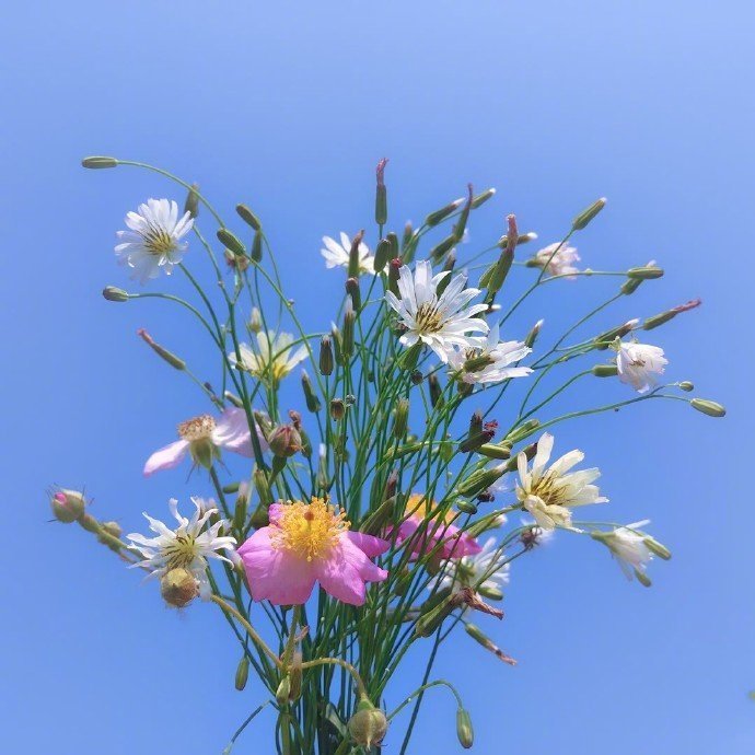 征服人心的哲理说说,句句经典,引人共鸣(图2) 征服人心的哲理说说,句句经典,引人共鸣