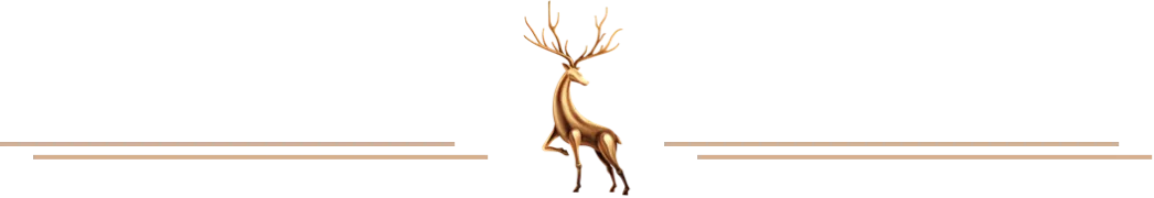 三年级作文 我的自画像》