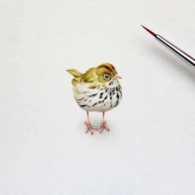 穿透心灵的人生感悟说说,发朋友圈引人深思!(图7) 图片