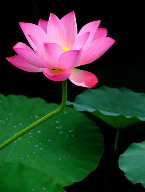 超深奥的人生感悟说说,总有一句入人心坎(图3) 超深奥的人生感悟说说,总有一句入人心坎