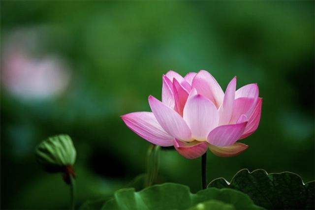 超深奥的人生感悟说说,总有一句入人心坎(图4) 超深奥的人生感悟说说,总有一句入人心坎