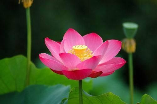 超深奥的人生感悟说说,总有一句入人心坎(图6) 超深奥的人生感悟说说,总有一句入人心坎